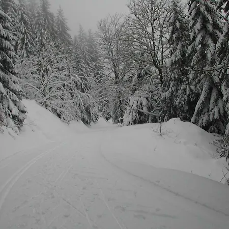 Le Refuge Geromois Gerardmer